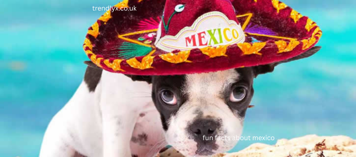 fun facts about mexico