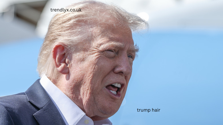 trump hair
