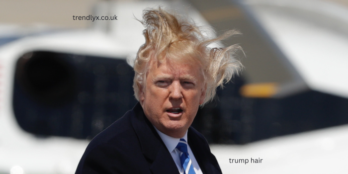 trump hair