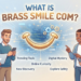 brasssmile com
